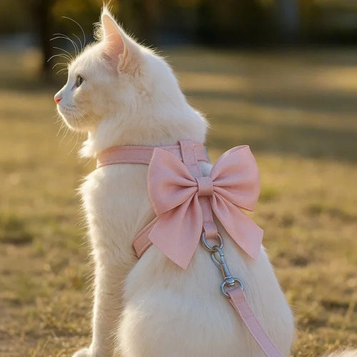 Collier pour chat