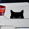 Autocollant vinyle chat amusant pour voiture et portable