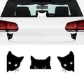 Autocollant vinyle chat amusant pour voiture et portable