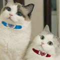 Collier chat cœur avec cloche et cristaux en velours