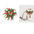 Costume déguisement Père Noël pour chats