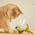 Jouet interactif mural avec herbe-aux-chats pour chat