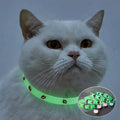 Collier lumineux pour chat avec empreinte scintillante et breloques