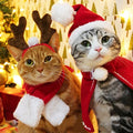 Costume déguisement Père Noël pour chats