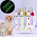 Collier lumineux pour chat avec empreinte scintillante et breloques