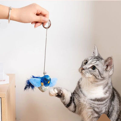Jouet interactif mural avec herbe-aux-chats pour chat