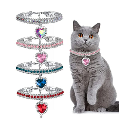 Collier en strass pour chaton