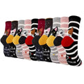 Chaussettes femmes motifs chats pack de 5